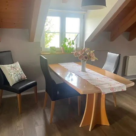 Panorama Saentisblick