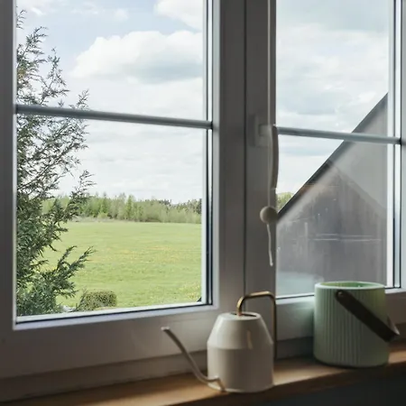 Panorama Saentisblick *